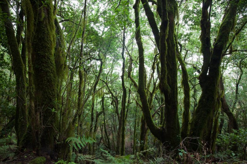 Rosh Pinah Sunset