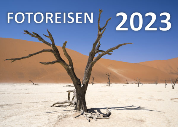 old tree at Deadvlei in the Namib desert | alter Baum im Deadvlei in der Namib-Wüste